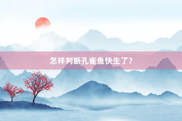 怎样判断孔雀鱼快生了？